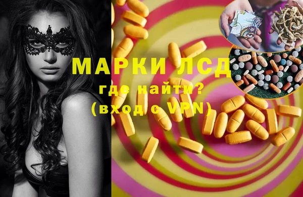 шишки Армянск