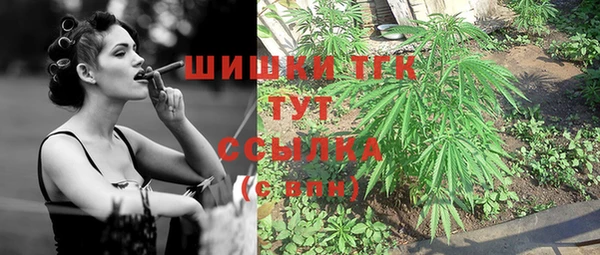 шишки Армянск