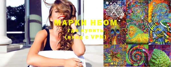 шишки Армянск